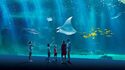 Nausicaá Boulogne sur mer - Découvrez l'Océan qui bat en vous