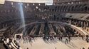 Visite guidée du Colisée avec accès coupe-file au Forum romain et au Palatin