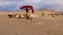 Caumont-Centre d'Art - Exposition Steve McCurry : Regards