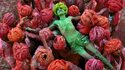 Caumont-Centre d'Art - Exposition Steve McCurry : Regards