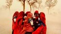 Caumont-Centre d'Art - Exposition Steve McCurry : Regards