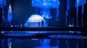 Visita - Los Bassins des Lumières en Burdeos Fotos 4